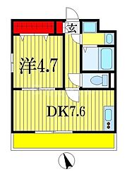 サンルピナス