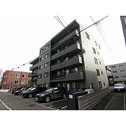 Ｓ．Ｔ．Ｃｏｌｌｉｎｅ（エスティーコリーヌ） 205