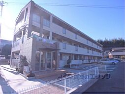 ＶＥＮＴＯ・ＬＵＣＥ