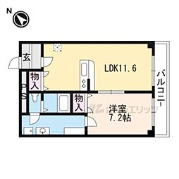 アバンギャルド 305