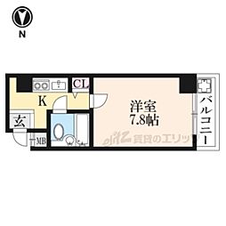 ピュアコート錦