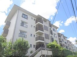 乙訓郡大山崎町円明寺殿山