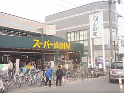 城陽市枇杷庄鹿背田