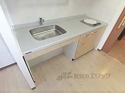 ブラッサム精華