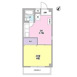 セダーバック 101