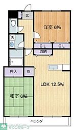 コンフォール武蔵野 204