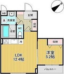 Papillon Sekimae 302