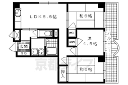 シャンドール東野 101