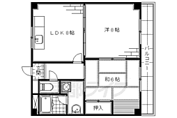 ピアチェ16