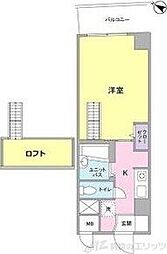 グランドーム国際