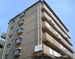 サングリュックコート