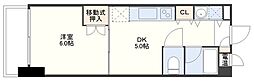 ルクソール錦