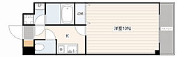 FOUR　SEASONS　TAI-SHIN　1st 503