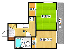 ハイネス江波 501