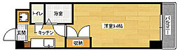 Wing STK 704