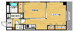 Ａｓｈｉｙａ　Ｖｉｖｉｄ　海田 403