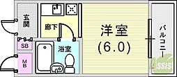 アンマリエ岡本
