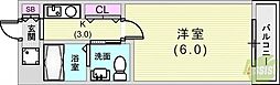 ラディウス森南