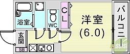 パピヨン青木