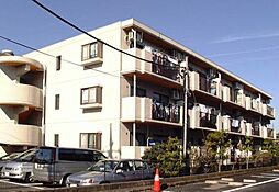 ＴＥＲＲＡさがみ野 201