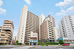 東京ビューマークス