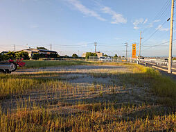 刈谷市一里山町伐払