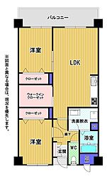 オークランド老松公園