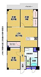 藤和城西コープ
