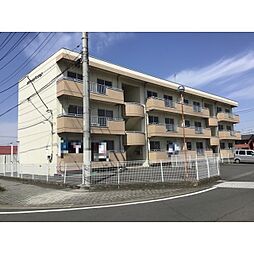 ホワイトヒルマンション 103