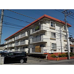 ヴィレッジ助戸 305