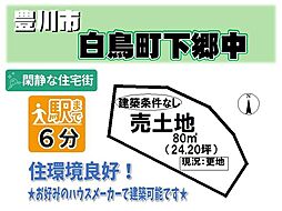 白鳥町下郷中　売土地