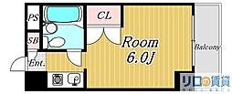 TBM南方 501