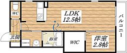 ホワイトキューブ