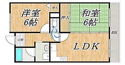 エスペランサ 311