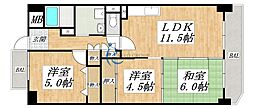 グレーシィ喜連