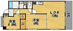 グレイスアベリア