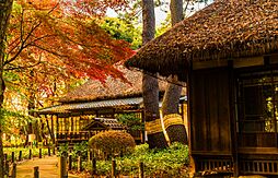芦花公園駅9分「南烏山」Newhouse