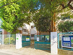 整形地「浜田山」Selection