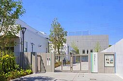 5.3道路「杉並区和泉」Selection