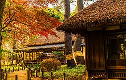 整形地「世田谷区八幡山2丁目」Selection