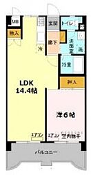 ティーワイパレス