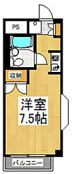 フォーシーズン