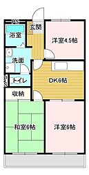 スプリングコートII
