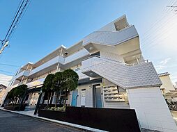 プリマヴェーラ 305