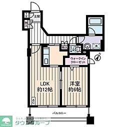 サングランパ 503