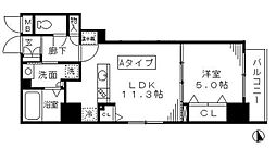 ラフィーネ日本橋 801