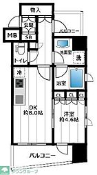 クオリア銀座三丁目 404