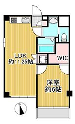 パラシオン越谷 6階