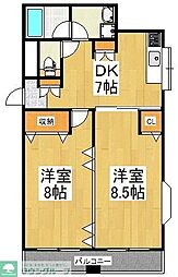 ファーストアオキ 305