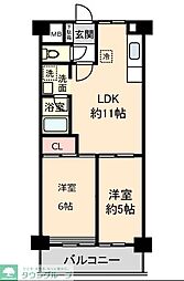 シャトー上清戸 303